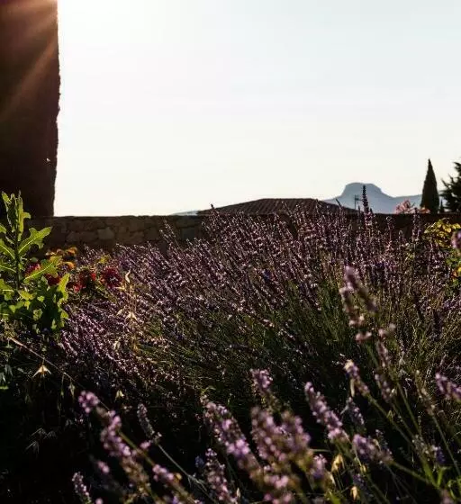 هتل Hôtel   Restaurant & Spa La Magdeleine   Mathias Dandine