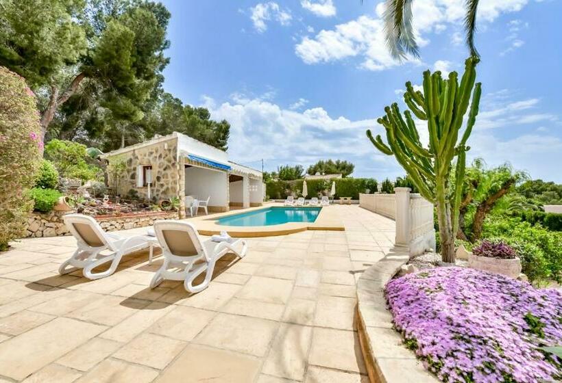 Villas Guzman   Las Rosas