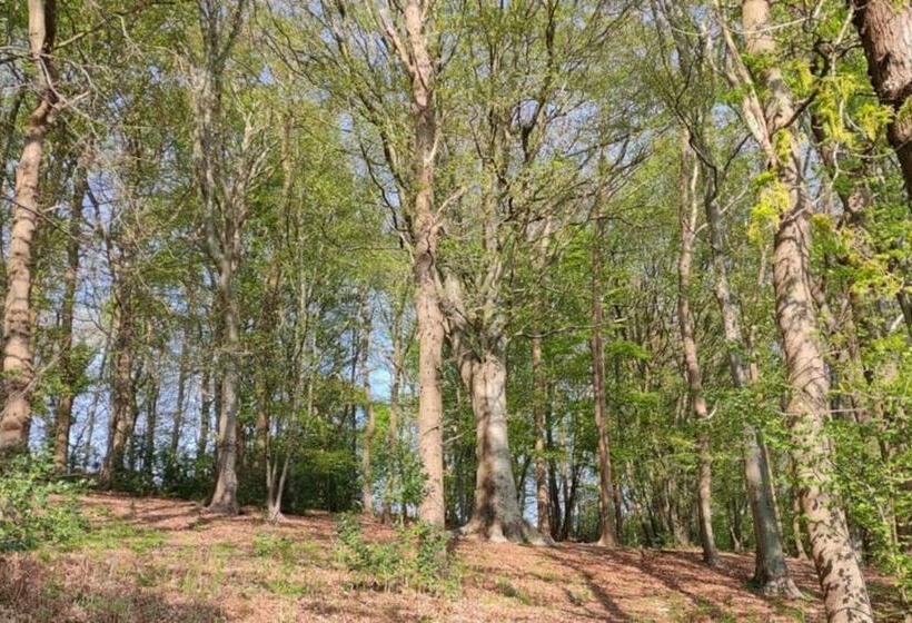 Gite Calypso De 14 Personnes Fécamp Etretat