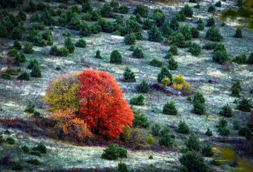 Appartamento In Centro Storico Pescocostanzo