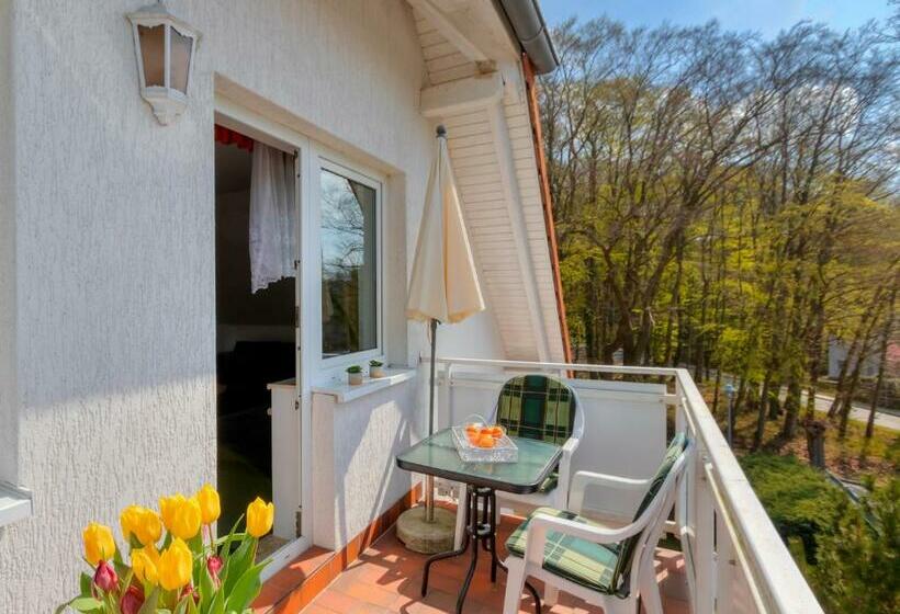 Hansehus Ferienwohnung Nr. 6