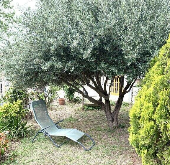 La Muscadelle : Le Calme Du Sud De La France