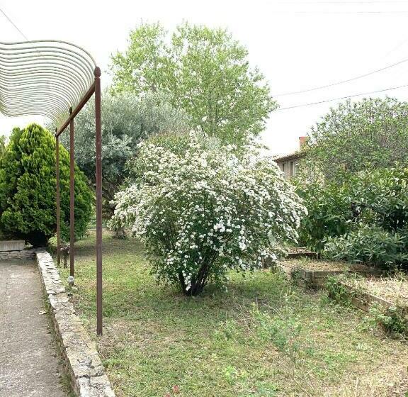 La Muscadelle : Le Calme Du Sud De La France