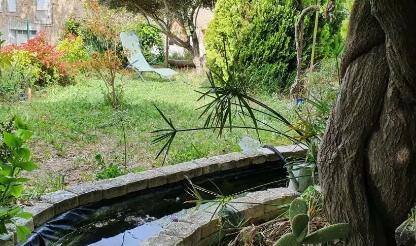 La Muscadelle : Le Calme Du Sud De La France