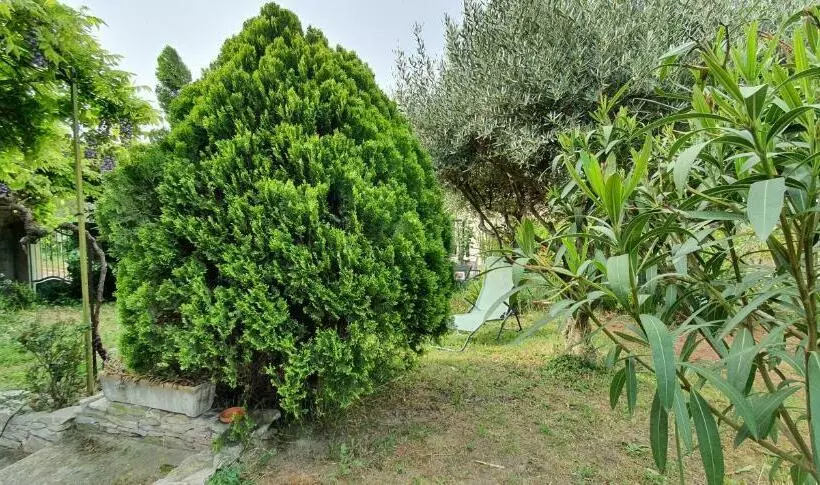 La Muscadelle : Le Calme Du Sud De La France