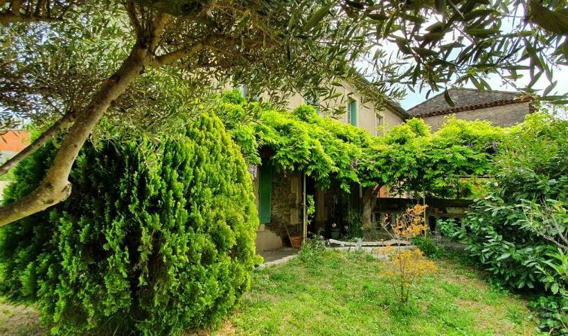 La Muscadelle : Le Calme Du Sud De La France