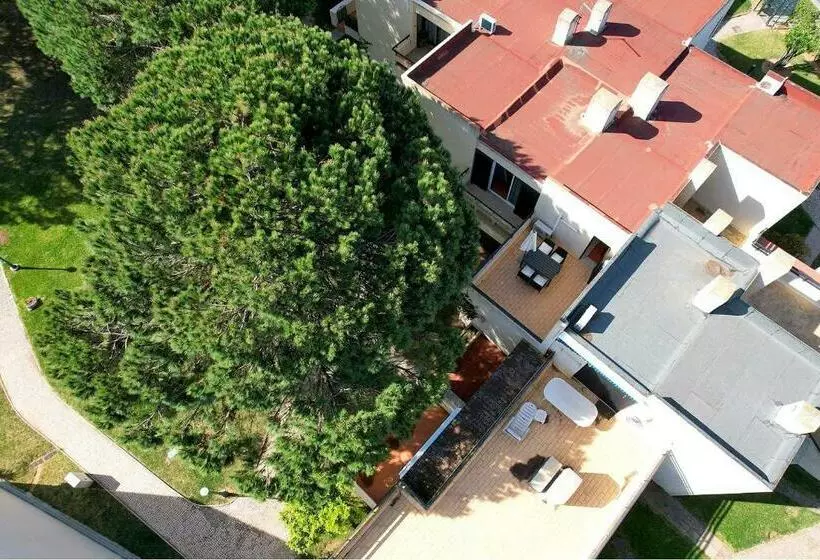 Hakuna Matata House