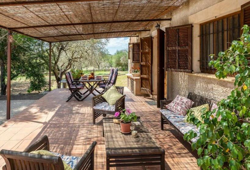 Ariany   38840 Mallorca