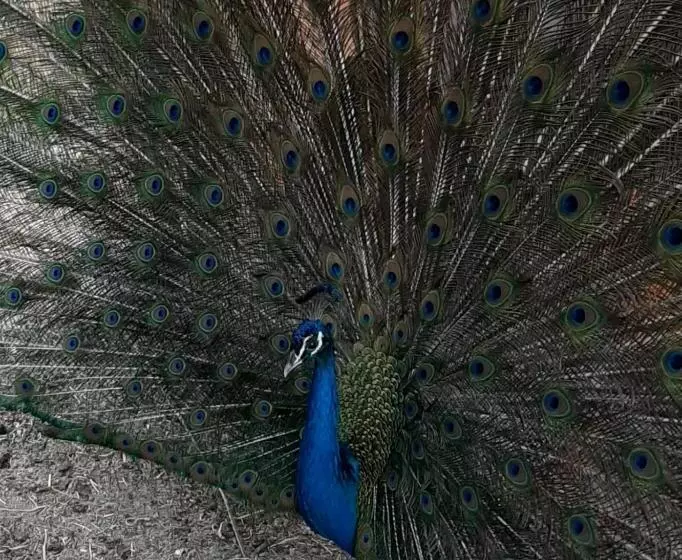 Villa Marrackech Sbai