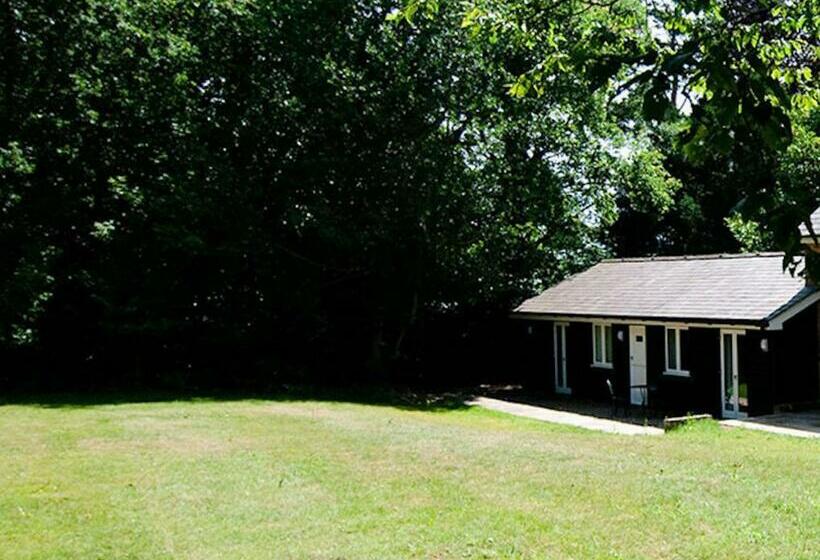 Cottage Surrounded By Woodland And Vineyards