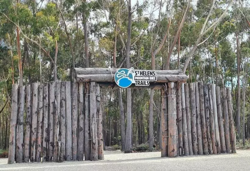 Paddy S Shack The Ultimate Tassie Shack Experience