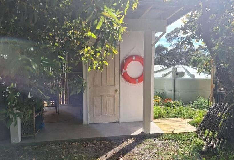 Paddy S Shack The Ultimate Tassie Shack Experience