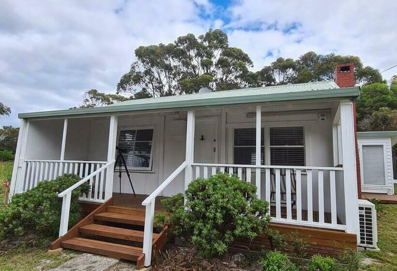 Paddy S Shack The Ultimate Tassie Shack Experience