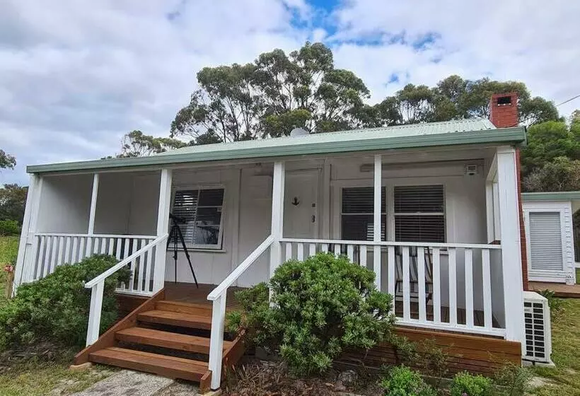 Paddy S Shack The Ultimate Tassie Shack Experience