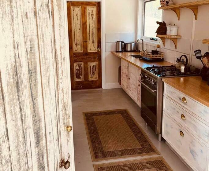 Paddy S Shack The Ultimate Tassie Shack Experience