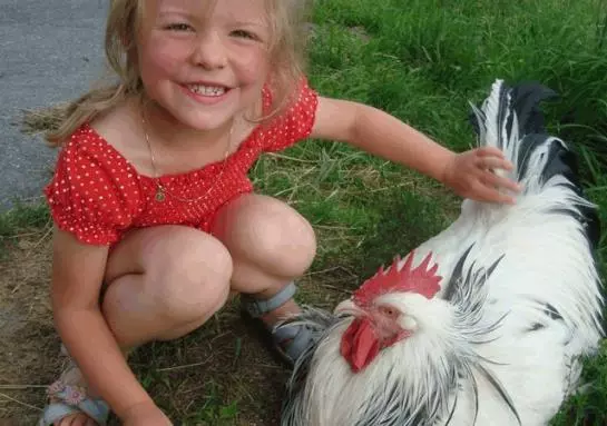 Отель Ederhütte