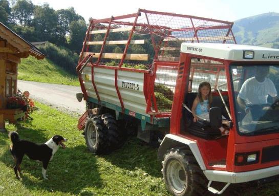 ホテル Ederhütte