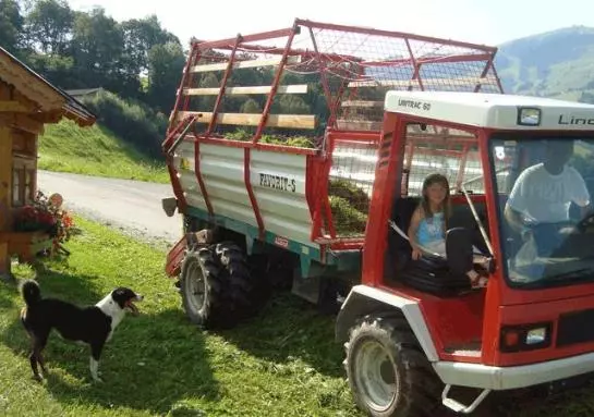 Отель Ederhütte