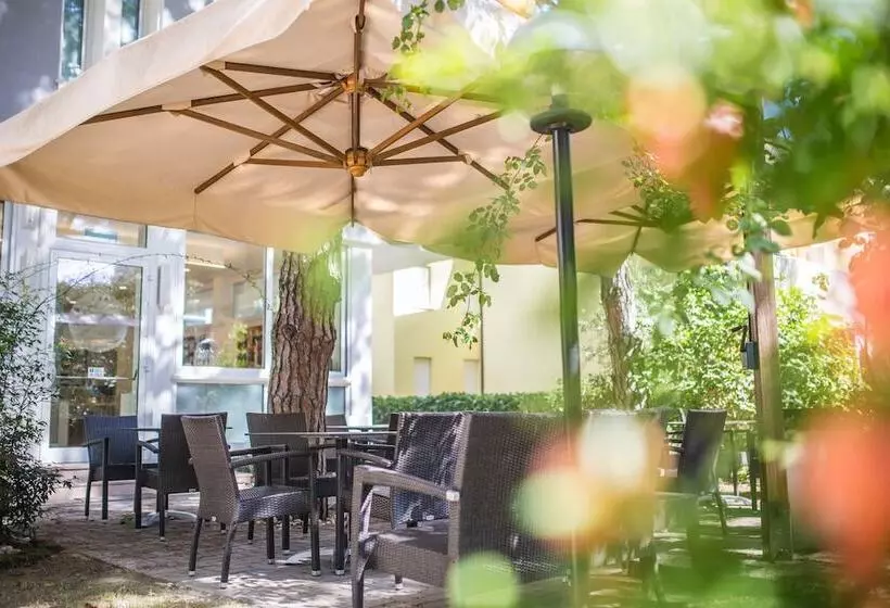 酒店 Meublè Zenith