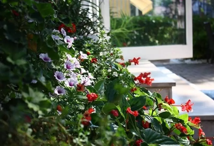 酒店 Meublè Zenith