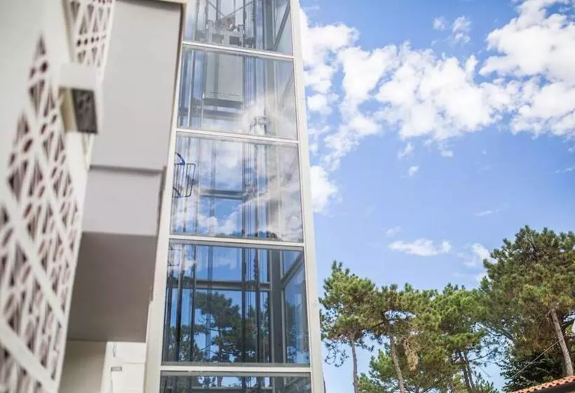 酒店 Meublè Zenith