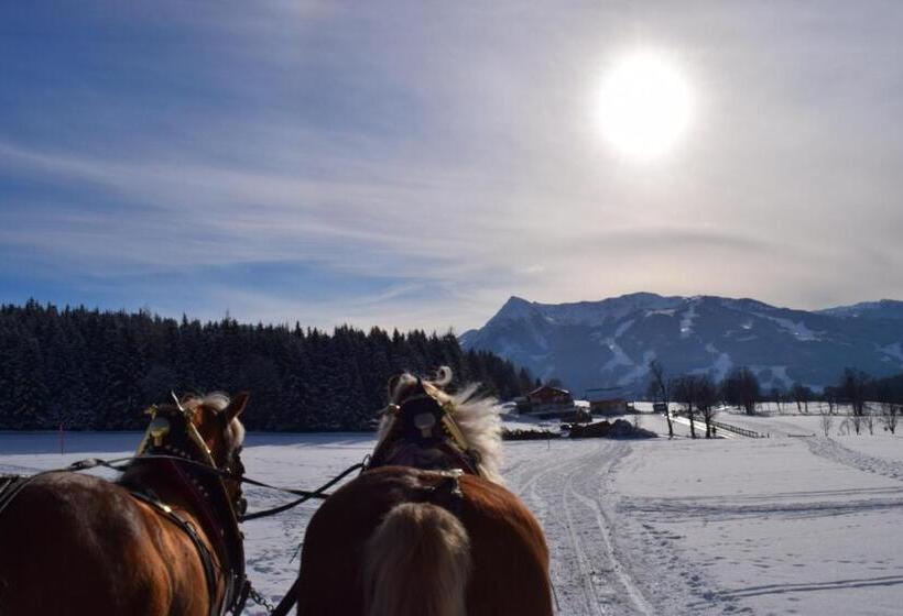 Отель Pension Irlingerhof