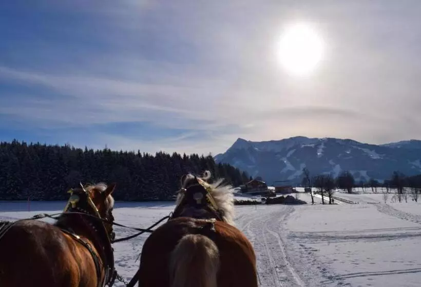 Отель Pension Irlingerhof