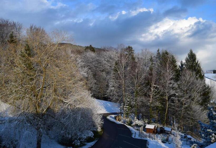 Отель Pension Irlingerhof