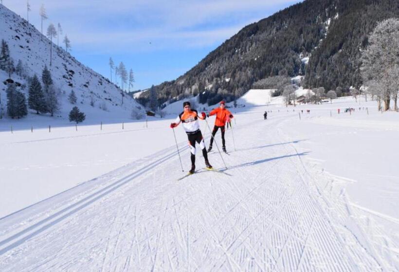 Отель Pension Irlingerhof