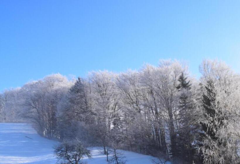 Отель Pension Irlingerhof