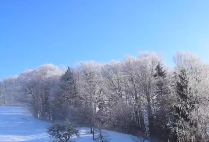 Отель Pension Irlingerhof