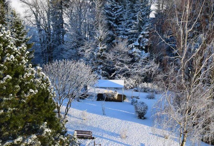 Отель Pension Irlingerhof