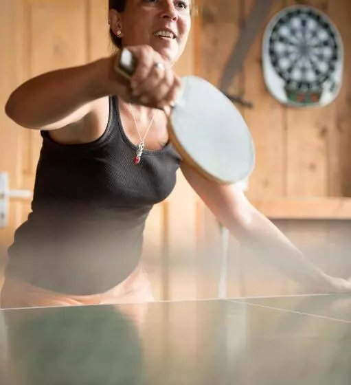 Отель Pension Irlingerhof