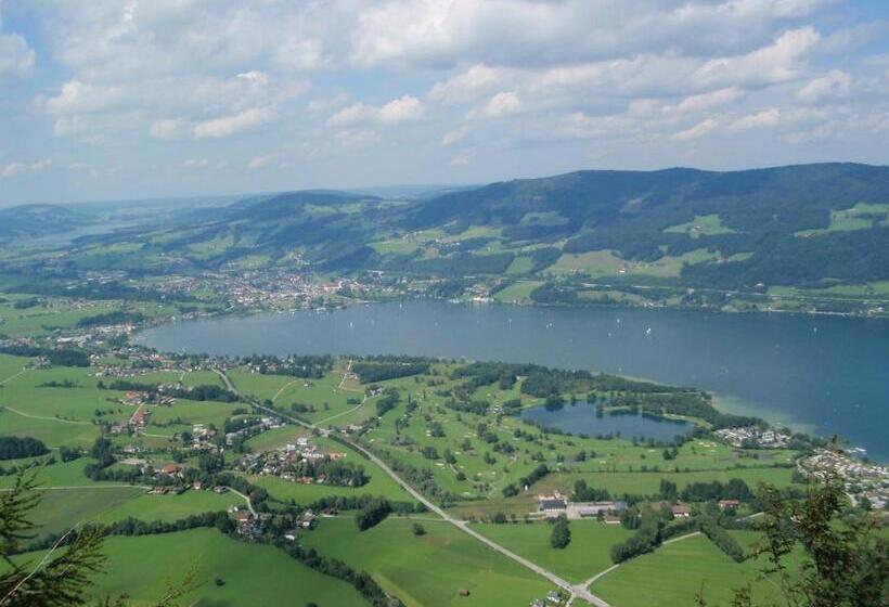 Отель Pension Irlingerhof