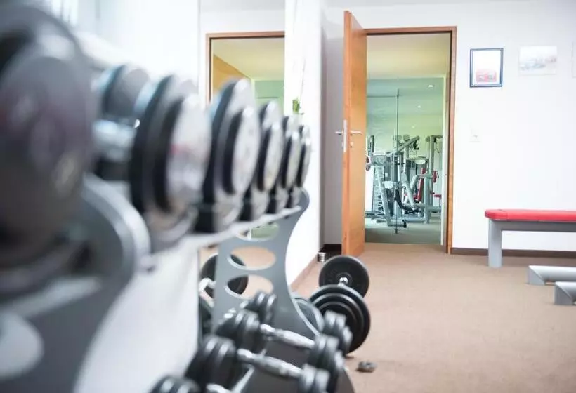 Отель Pension Irlingerhof