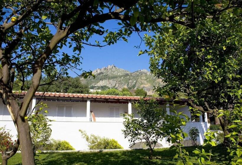 酒店 Terme Park Imperial