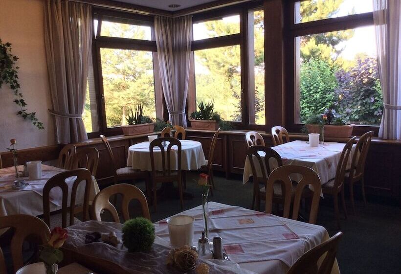 بنسيون Gasthof Löwen