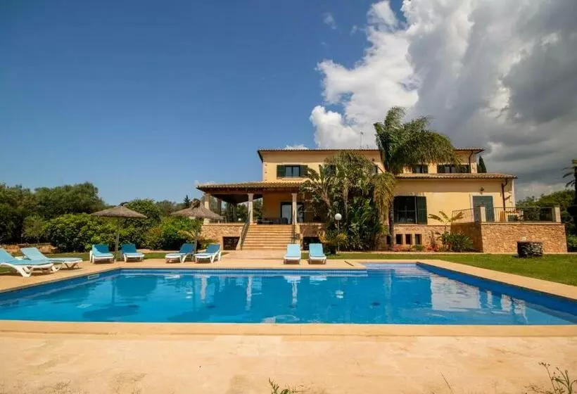 Ses Salines   38370 Mallorca1