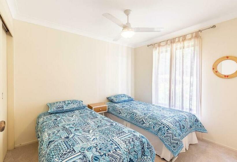 Tanilba 23 Flannel Flower Fairway Meaning White Flower