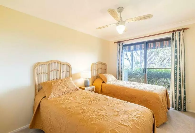 Tanilba 23 Flannel Flower Fairway Meaning White Flower