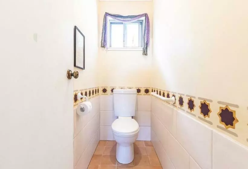 Tanilba 23 Flannel Flower Fairway Meaning White Flower