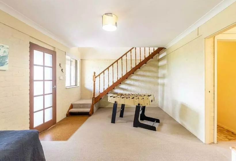 Tanilba 23 Flannel Flower Fairway Meaning White Flower