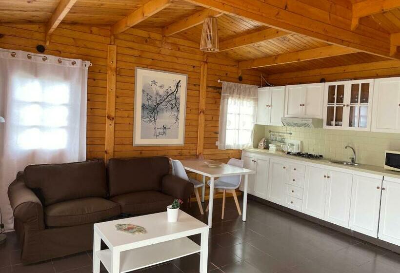 Agradable Mini Casa De Madera Con Jardín Amplio