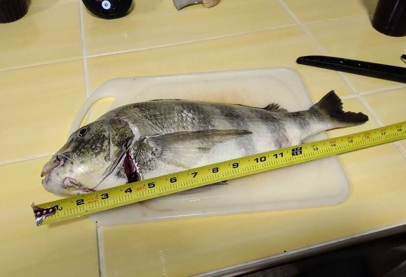 The Keys Bungalow On The Cotee River