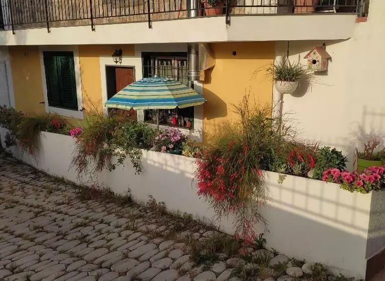Vento E Amore