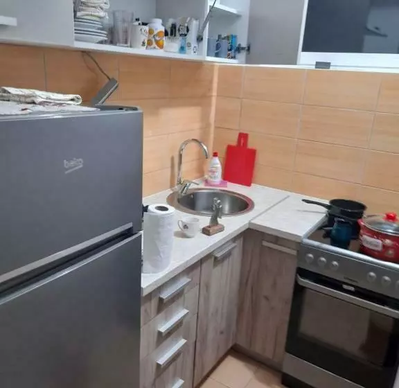 Apartment Luka
