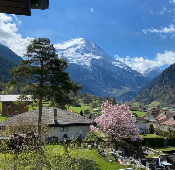 Amazing Appartment In The Middle Of The Nature