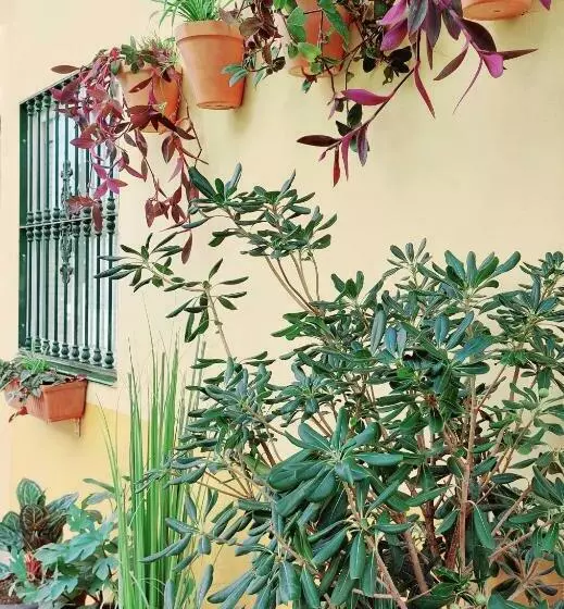 Coral Apartment La Cala Beach