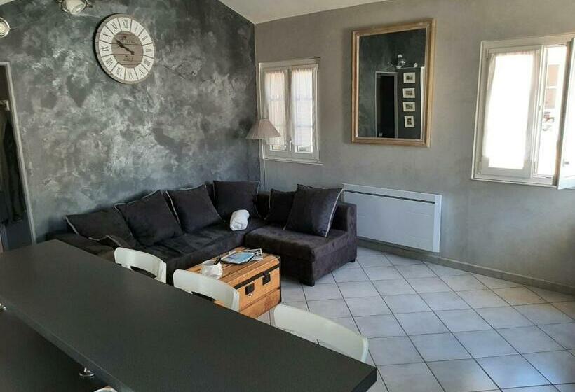 T2 Centre Ville Vue Faron 40m2 En Zone Pietonne 4ème étage