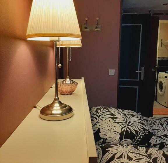 T2 Centre Ville Vue Faron 40m2 En Zone Pietonne 4ème étage